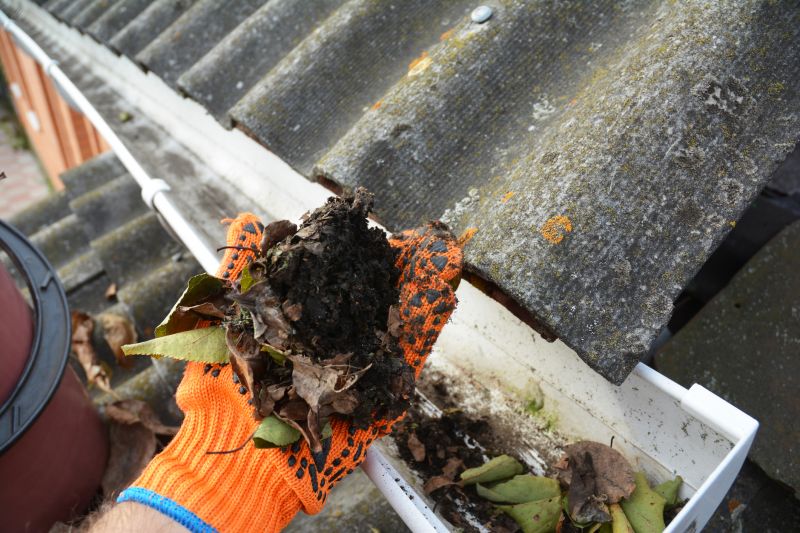 Gutter Flushing