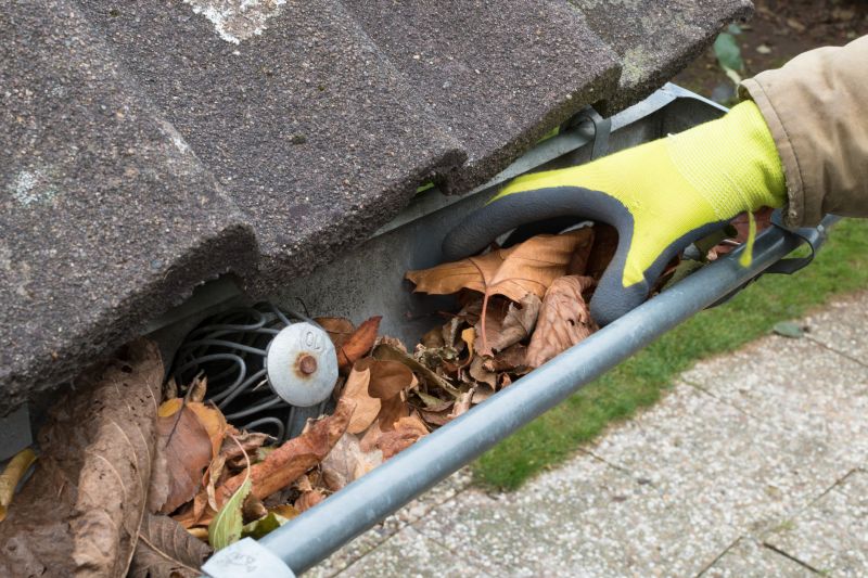 Roof Gutter Debris Removal