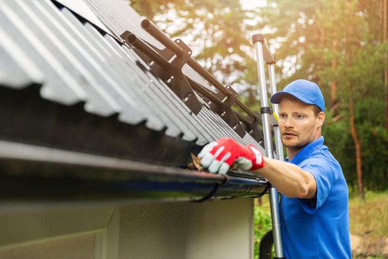 Local Gutter Cleaning Companies